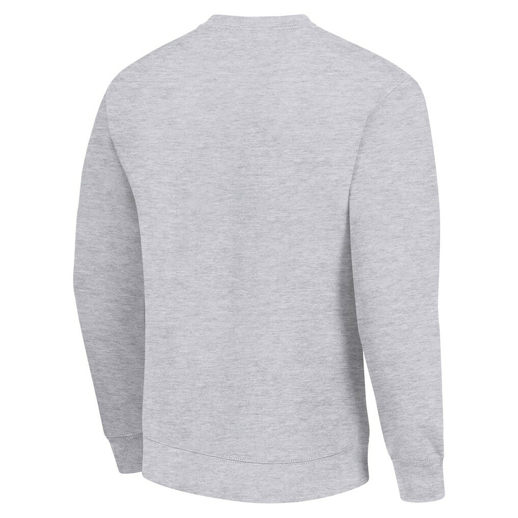 Green Bay Packers Starter Color Scratch Team Graphic Fleece Pullover Sweatshirt Heather Gray - NFL