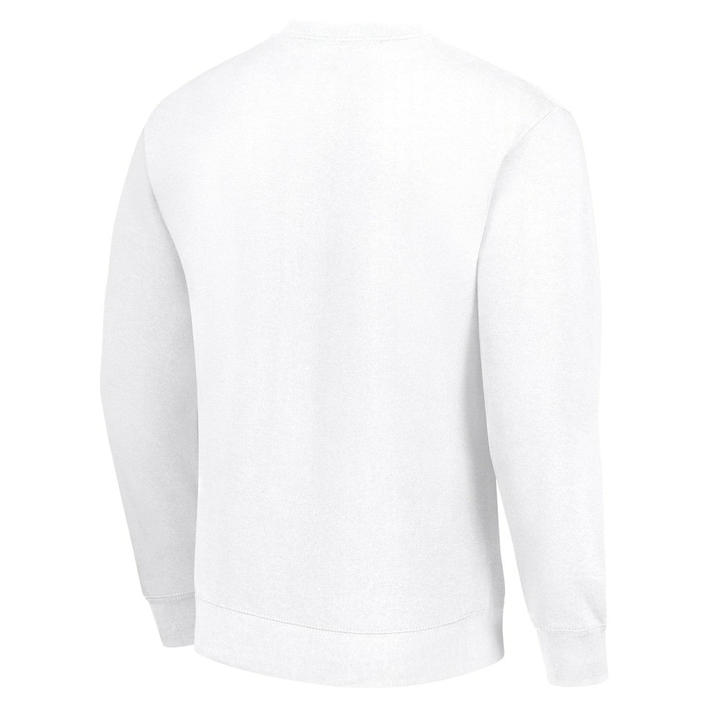 Washington Commanders Starter Color Scratch Team Graphic Fleece Pullover Sweatshirt White - NFL