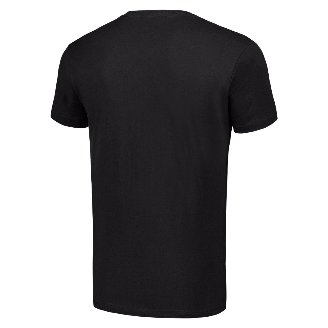 Detroit Lions Starter 80s Inspired Team Logo T-Shirt Black - NFL