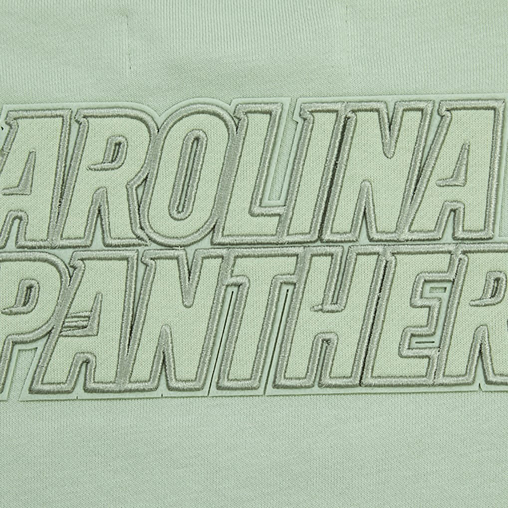 Carolina Panthers Pro Standard Women's Oversized Cropped Neutral Pullover Sweatshirt Light Green - NFL