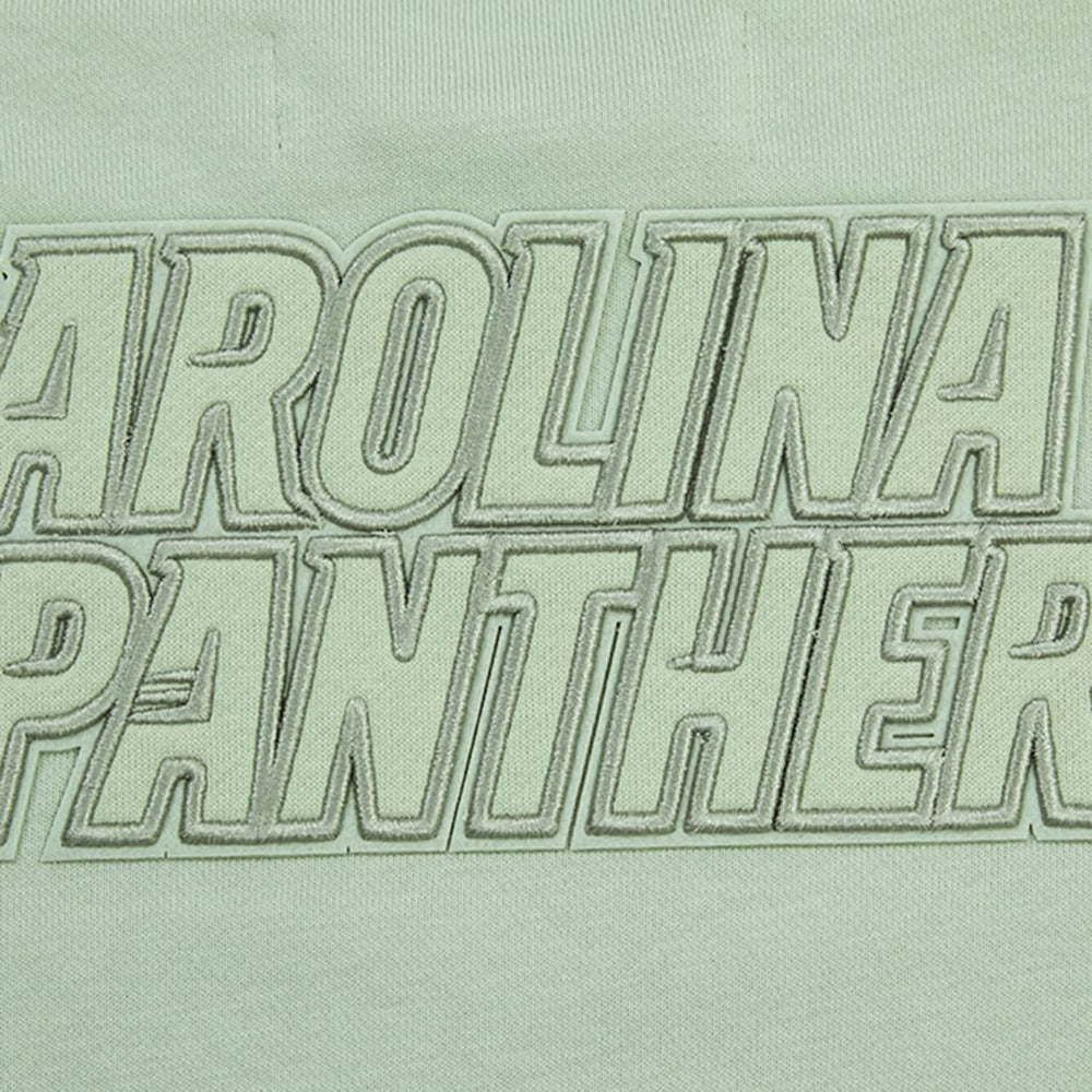 Carolina Panthers Pro Standard Women's Oversized Cropped Neutral Pullover Sweatshirt Light Green - NFL