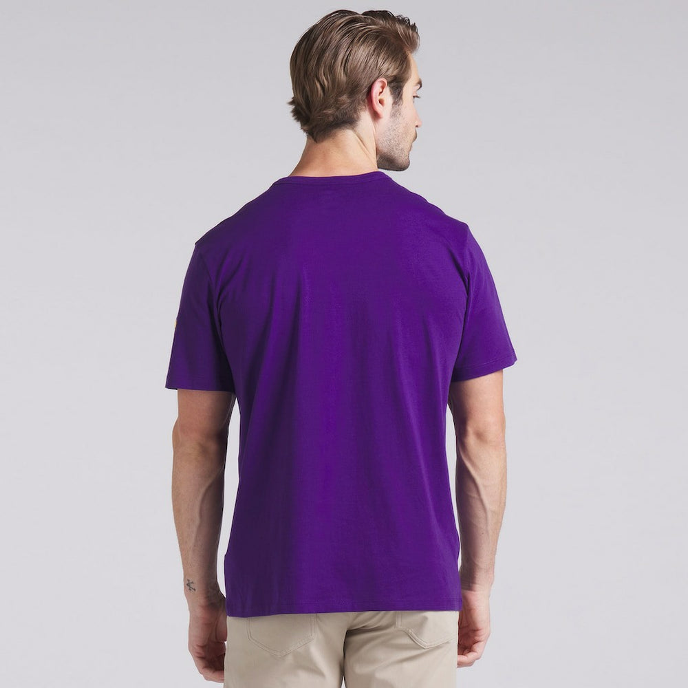 Minnesota Vikings Option Route Legacy T-Shirt Purple - Fanatics