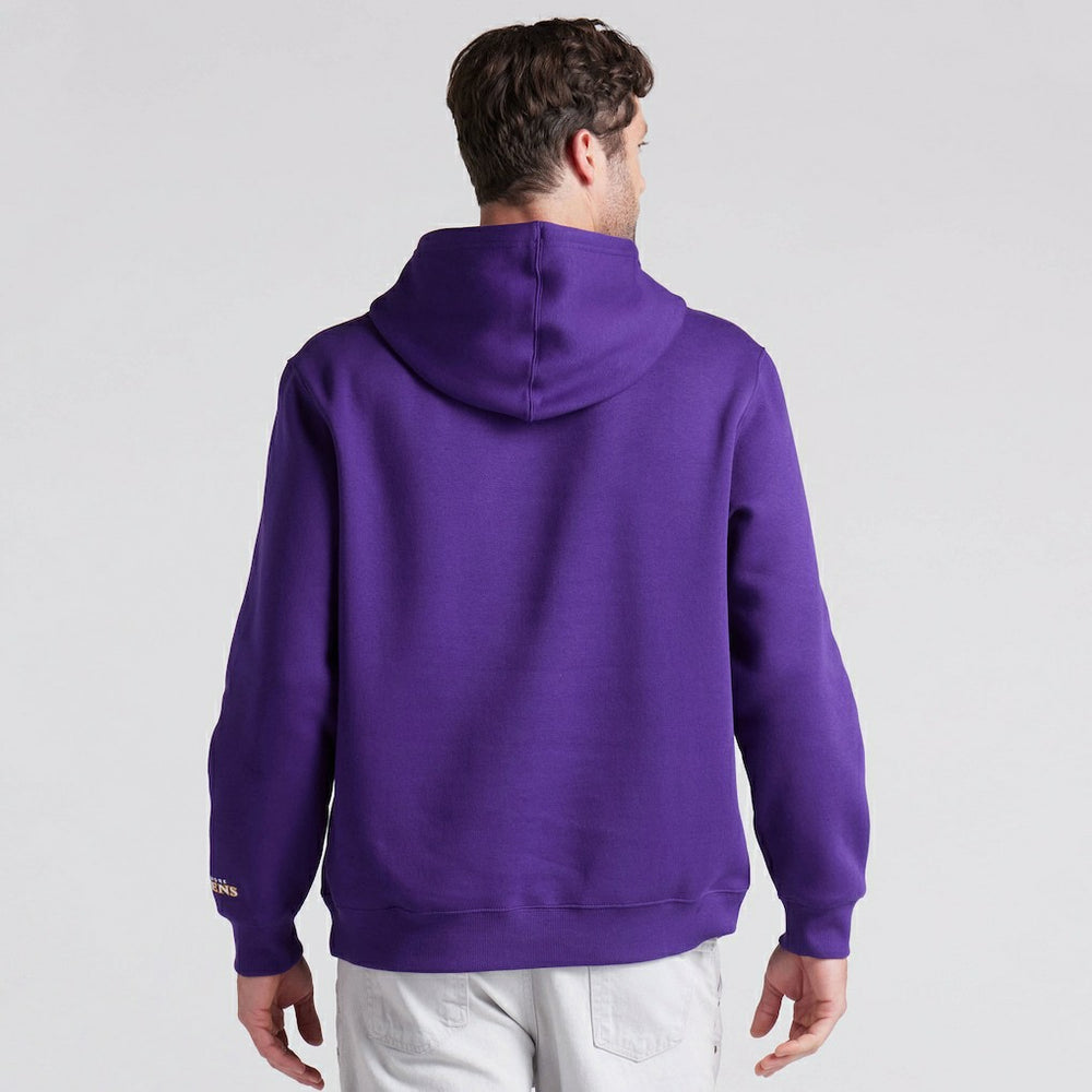 Baltimore Ravens Pylon Cam Legacy Pullover Hoodie Purple - Fanatics