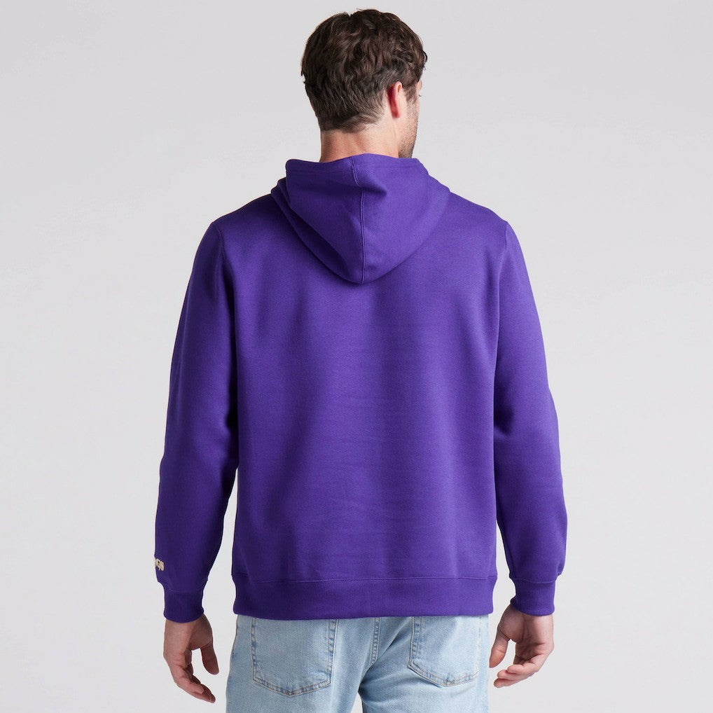 Minnesota Vikings Pylon Cam Legacy Pullover Hoodie Purple - Fanatics