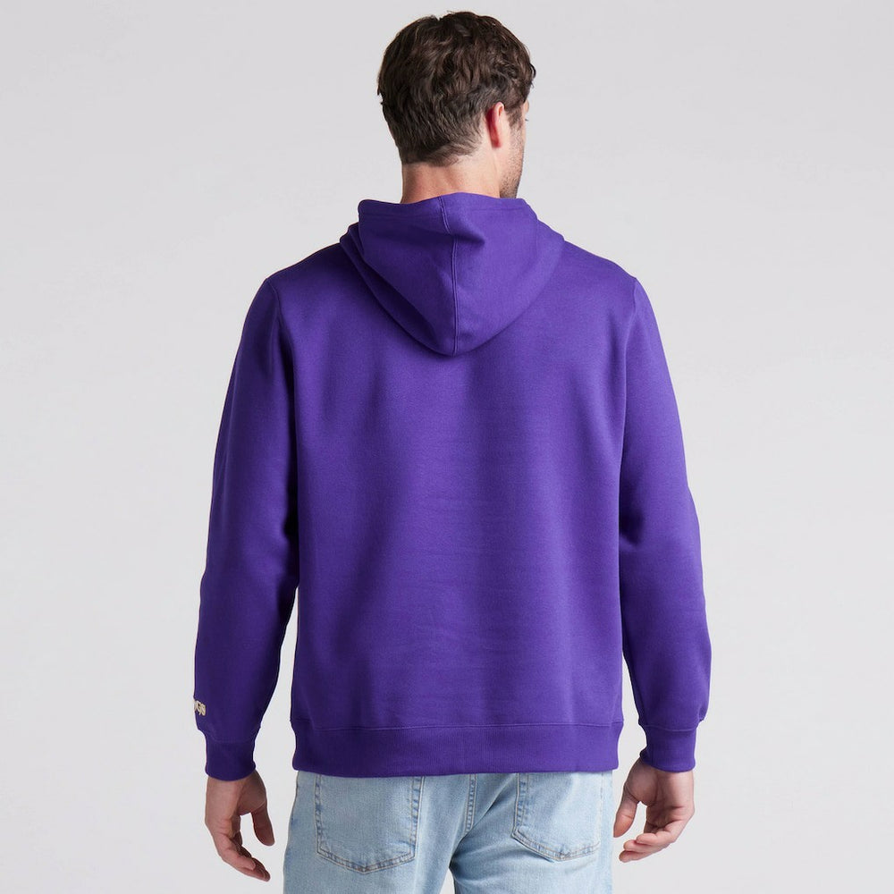 Minnesota Vikings Pylon Cam Legacy Pullover Hoodie Purple - Fanatics