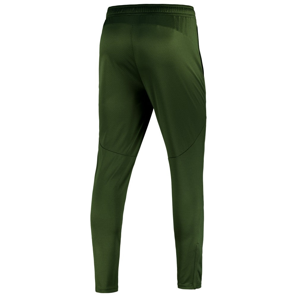 Puma Manchester City 2024/25 dryCELL Training Pants - Sky Forest Green