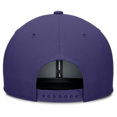 Tampa Bay Rays Nike Pro Performance Snapback Hat Clearance