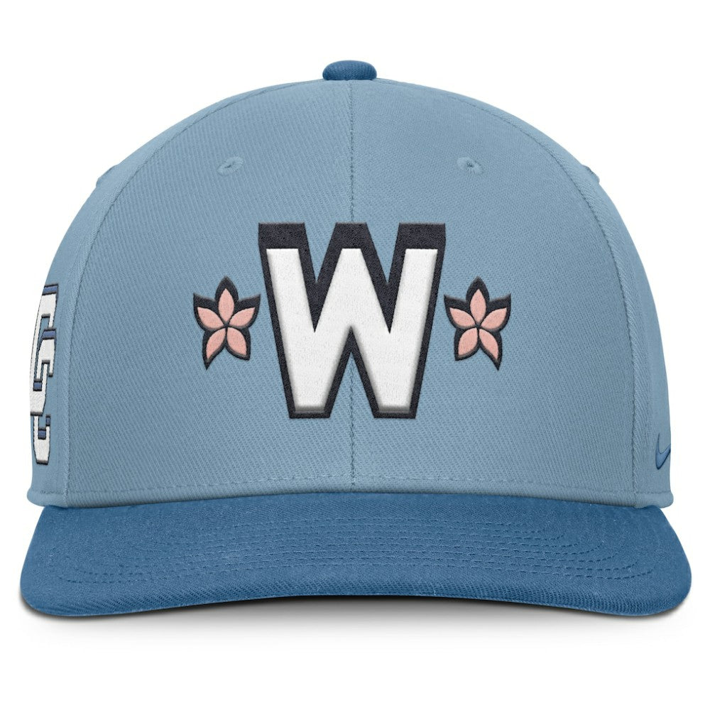 Washington Nationals Nike 2025 City Connect Pro Performance Snapback Hat Lifestyle