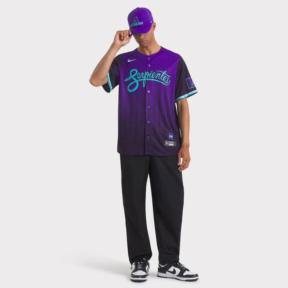 Arizona Diamondbacks Nike 2025 City Connect Rise Swoosh Performance Flex Hat discount