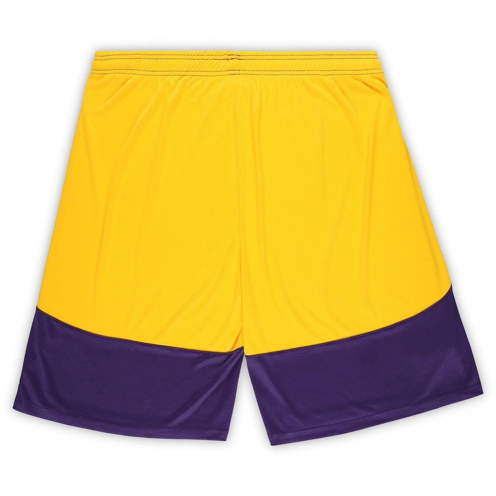Minnesota Vikings Big & Tall Launch Shorts Purple/Gold - Fanatics