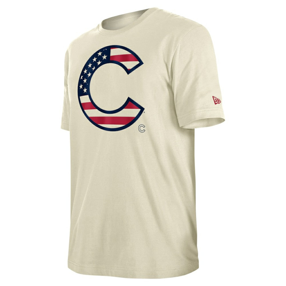 Chicago Cubs New Era Americana Flag Fill T-Shirt Near Me