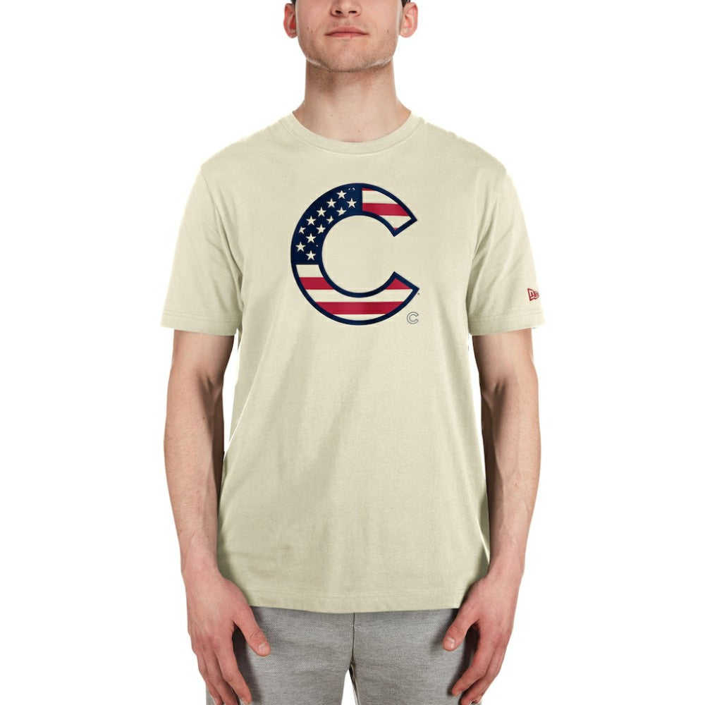Chicago Cubs New Era Americana Flag Fill T-Shirt Near Me