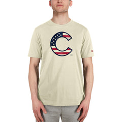 Chicago Cubs New Era Americana Flag Fill T-Shirt Near Me
