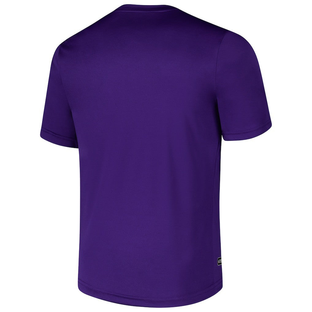 Minnesota Vikings Stadium Retro T-Shirt Purple - NFL