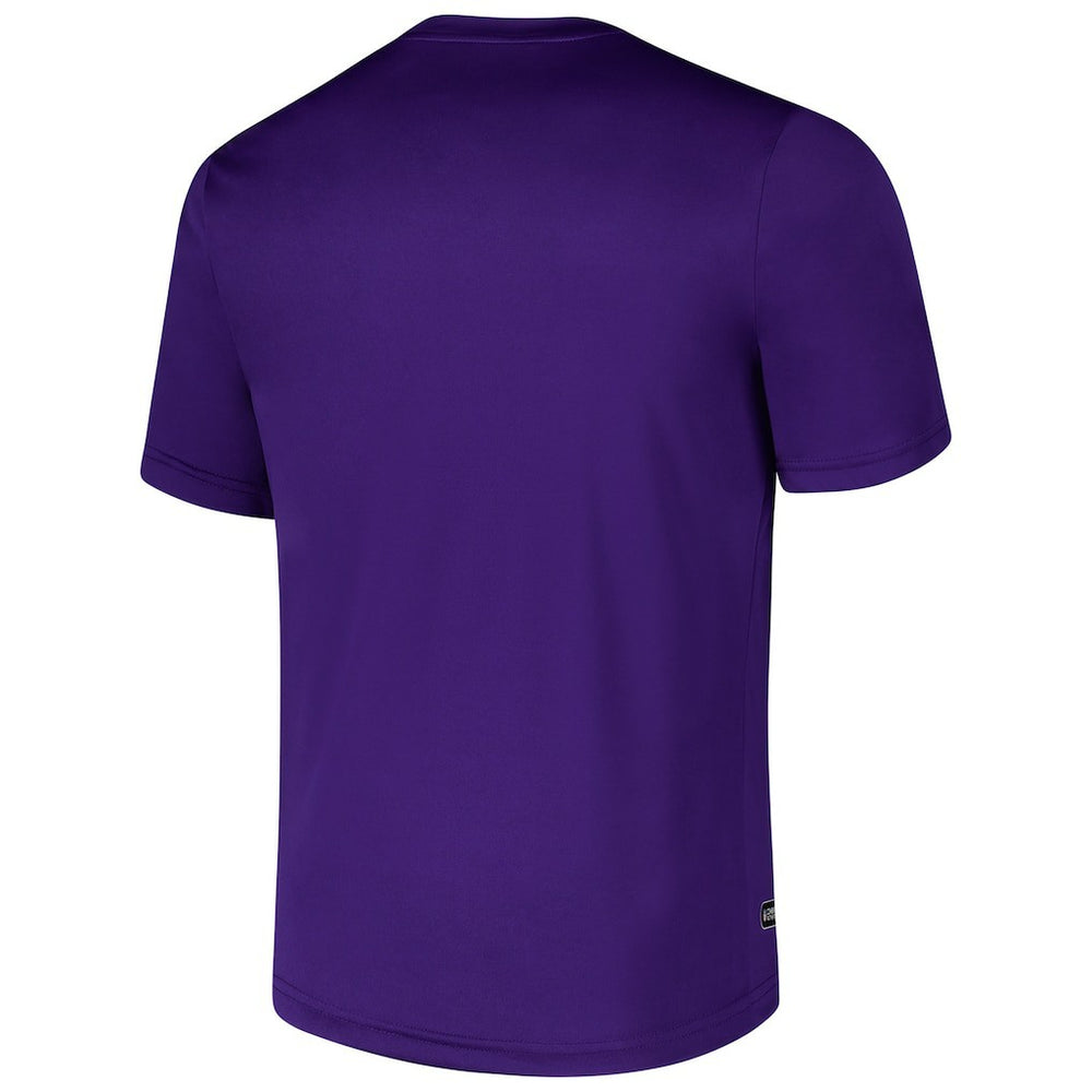 Minnesota Vikings Stadium Retro T-Shirt Purple - NFL