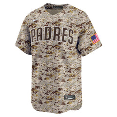Fernando Tatis Jr. San Diego Padres Nike Alternate 2 Limited Jersey On Sale