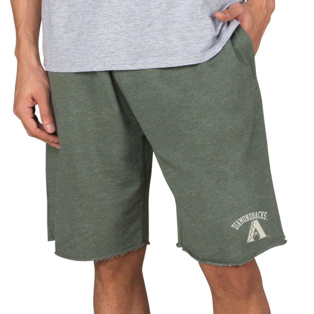 Arizona Diamondbacks Concepts Sport Mainstream Tri-Blend Shorts Online