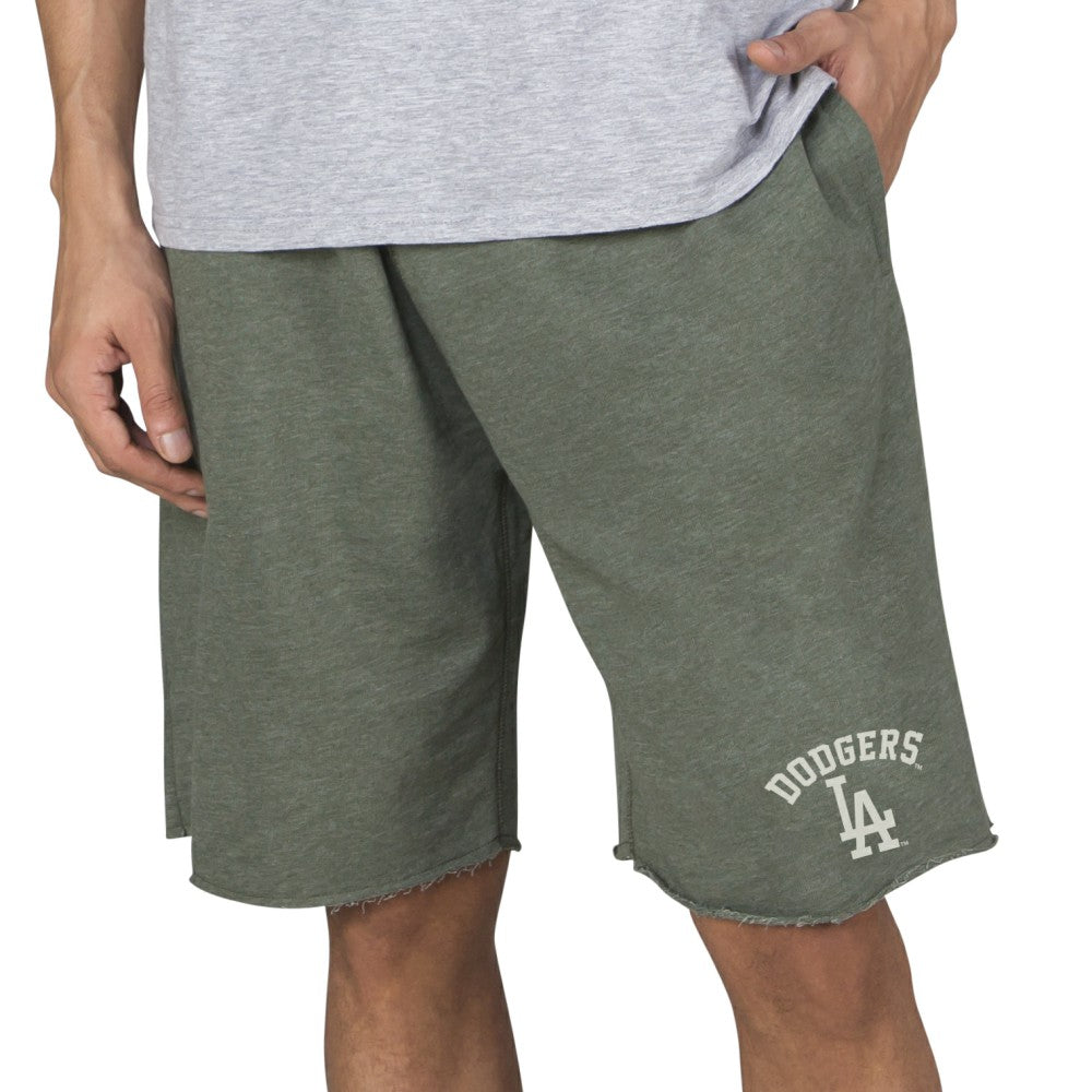 Los Angeles Dodgers Concepts Sport Mainstream Tri-Blend Shorts discount