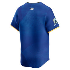Minnesota Twins Nike City Connect Limited Jersey Near Me