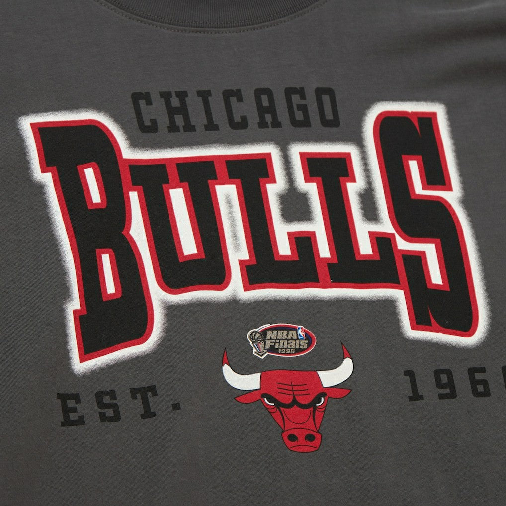 Mitchell & Ness - Chicago Bulls Women's Hardwood Classics Oversized Boyfriend T-Shirt - Charcoal