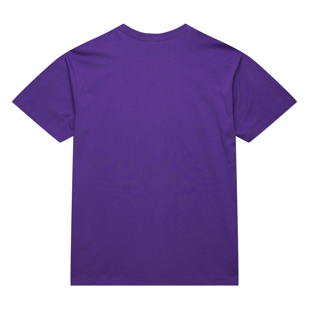Mitchell & Ness - Toronto Raptors Hardwood Classics Neon Nights Premium T-Shirt - Raptors Purple