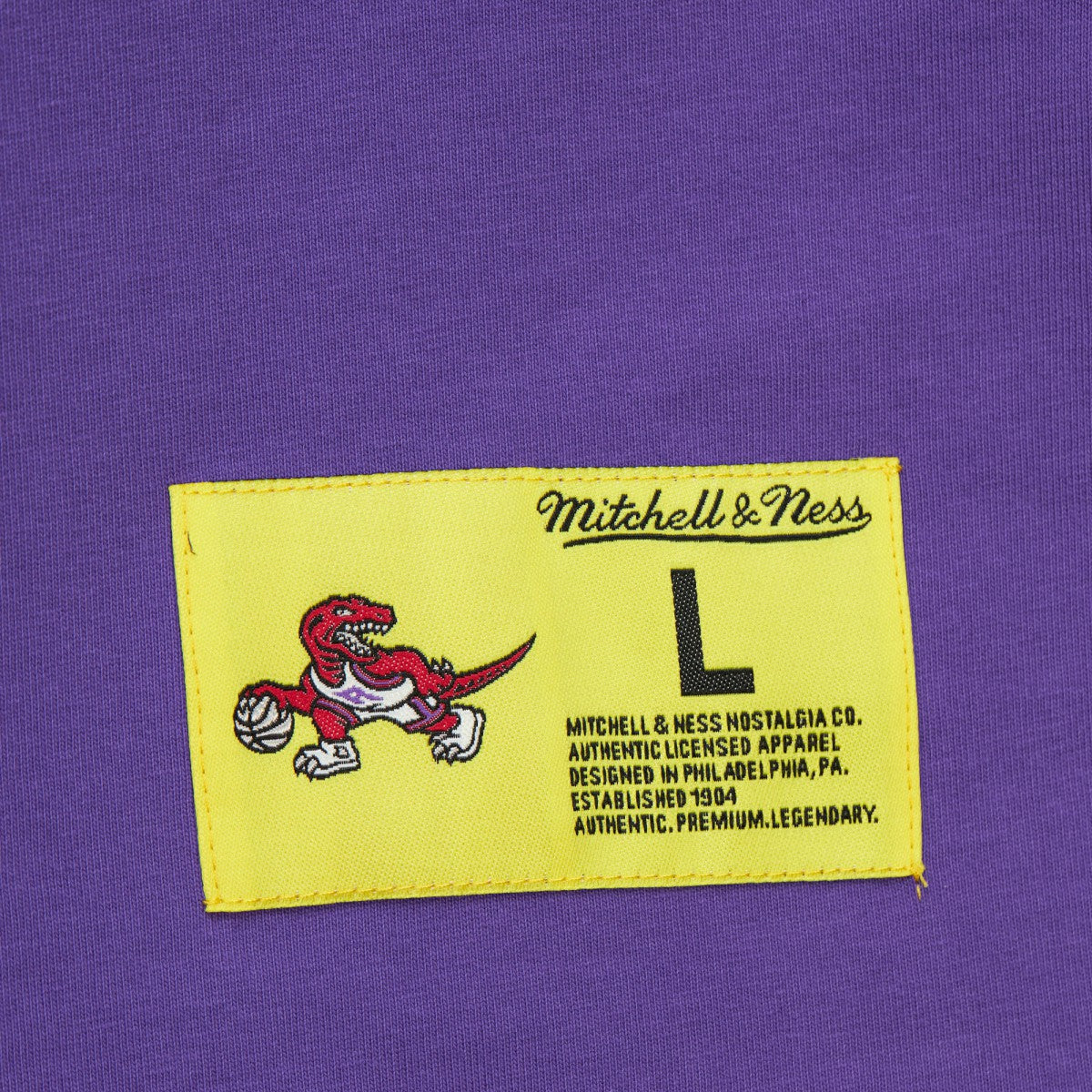 Mitchell & Ness - Toronto Raptors Hardwood Classics Neon Nights Premium T-Shirt - Raptors Purple