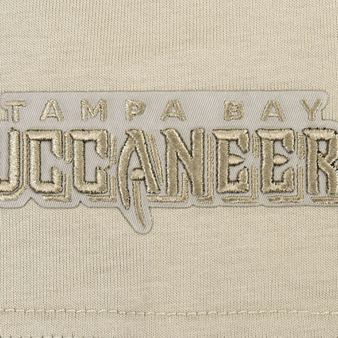 Tampa Bay Buccaneers Pro Standard Neutrals Capsule Short Sleeve Pullover Hoodie Tan - NFL