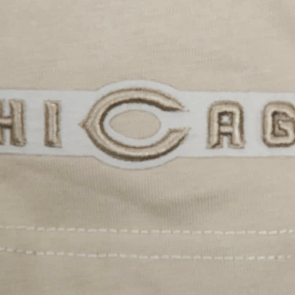 Chicago Bears Pro Standard Neutrals Capsule Short Sleeve Pullover Hoodie Tan - NFL