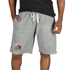 Arizona Cardinals Concepts Sport Mainstream Tri-Blend Shorts Gray - NFL