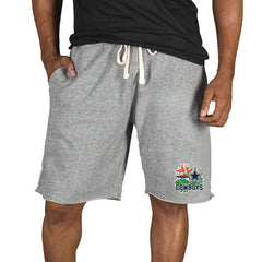 Dallas Cowboys Concepts Sport Mainstream Tri-Blend Shorts Gray - NFL
