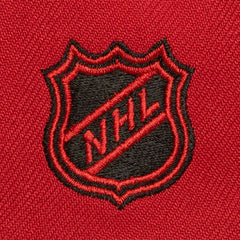 Detroit Red Wings - Mitchell & Ness Soul Triple Up Snapback Hat Red