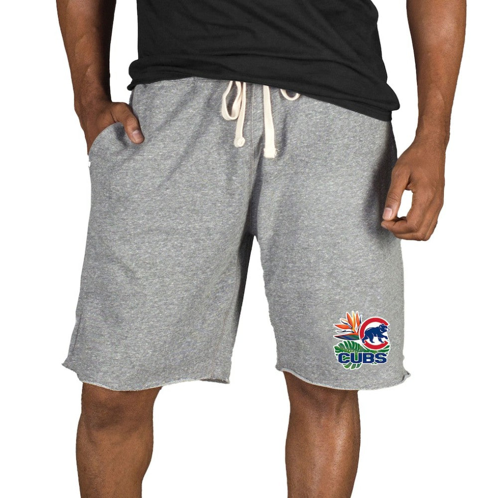 Chicago Cubs Concepts Sport Mainstream Tri-Blend Shorts Online