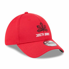 Cincinnati Reds New Era City Connect Batting Practice 39THIRTY Flex Hat for sale