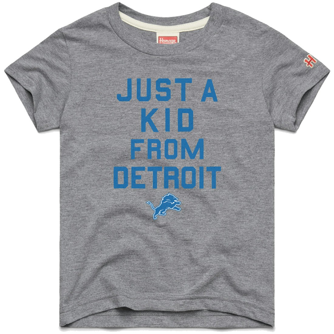 Detroit Lions Homage Youth Just a Kid Tri-Blend T-Shirt Gray - NFL