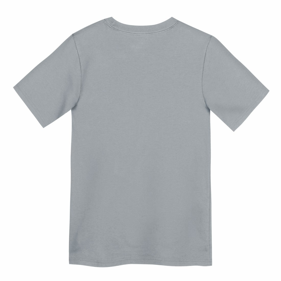 Detroit Lions Preschool Icon Legend Dri-FIT T-Shirt Gray - Nike