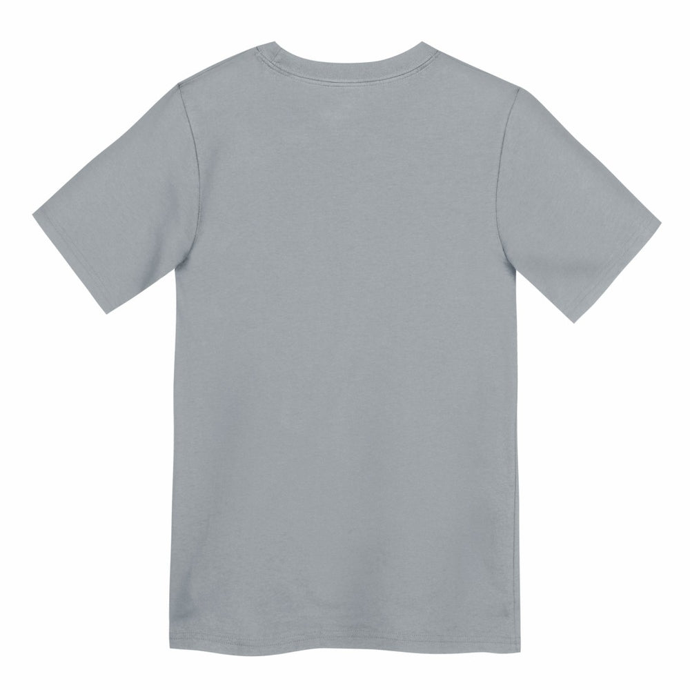 Detroit Lions Preschool Icon Legend Dri-FIT T-Shirt Gray - Nike
