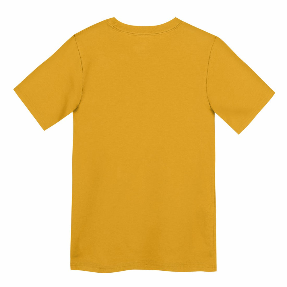 Green Bay Packers Preschool Icon Legend Dri-FIT T-Shirt Gold - Nike