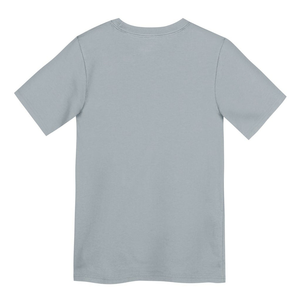 Las Vegas Raiders Preschool Icon Legend Dri-FIT T-Shirt Gray - Nike