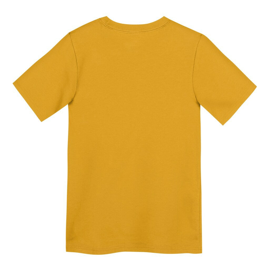 Pittsburgh Steelers Preschool Icon Legend Dri-FIT T-Shirt Gold - Nike