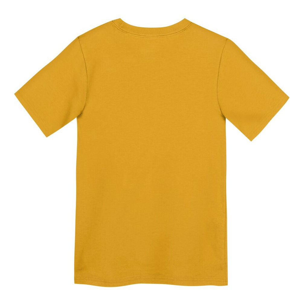 Pittsburgh Steelers Preschool Icon Legend Dri-FIT T-Shirt Gold - Nike