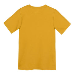 Pittsburgh Steelers Preschool Icon Legend Dri-FIT T-Shirt Gold - Nike