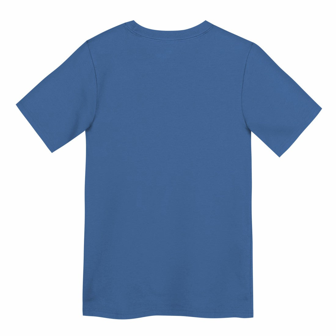 Detroit Lions Preschool Primary Logo Legend Performance T-Shirt Blue - Nike