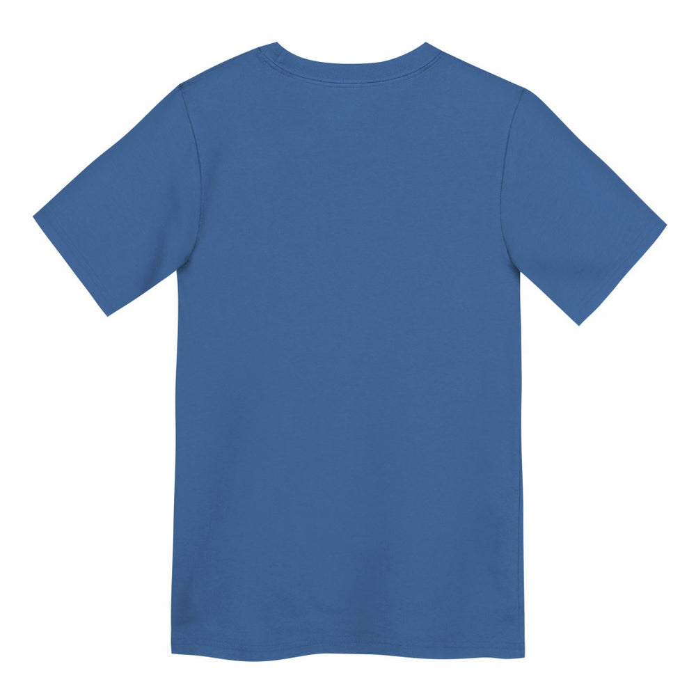 Detroit Lions Preschool Primary Logo Legend Performance T-Shirt Blue - Nike