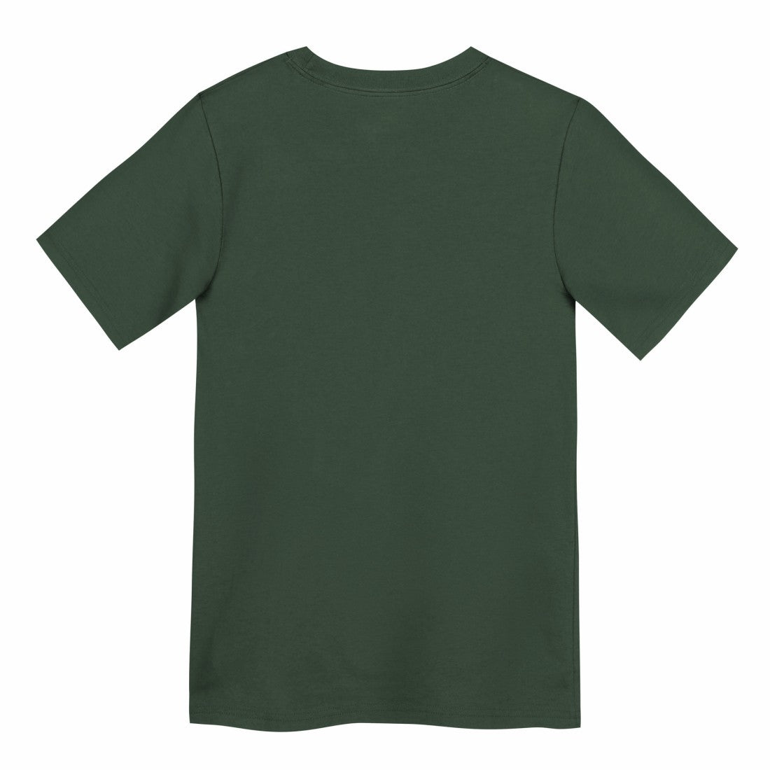 Green Bay Packers Preschool Primary Logo Legend Performance T-Shirt Green - Nike
