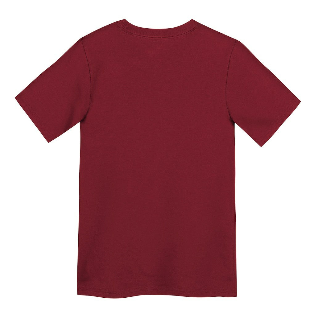 San Francisco 49ers Preschool Primary Logo Legend Performance T-Shirt Scarlet - Nike