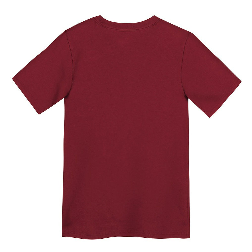 San Francisco 49ers Preschool Primary Logo Legend Performance T-Shirt Scarlet - Nike