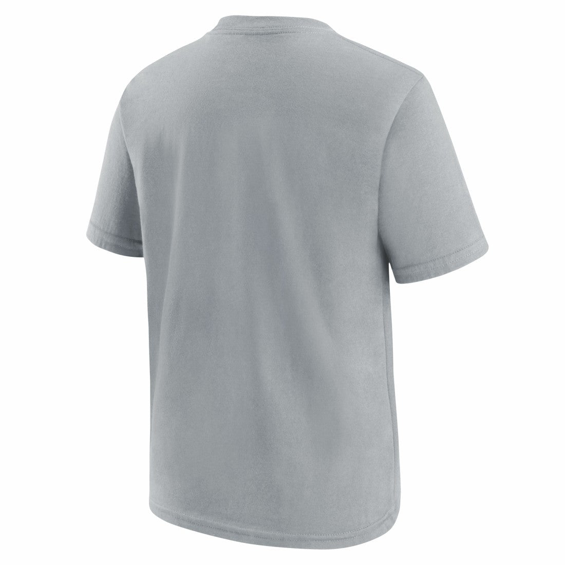 Detroit Lions Youth Icon Legend T-Shirt Gray - Nike