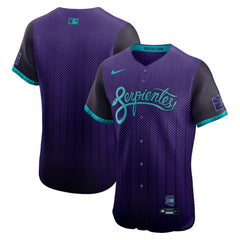 Arizona Diamondbacks Nike 2025 City Connect Elite Jersey Online