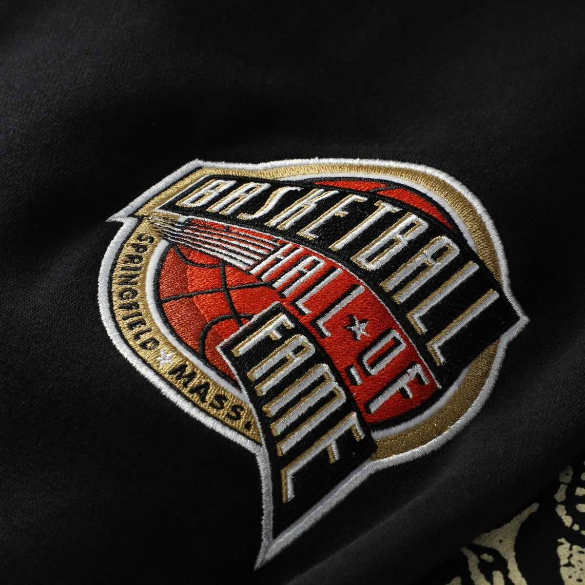 NBA - Vince Carter Toronto Raptors NBA Hall of Fame 2024 Fleece Pullover Hoodie - Black