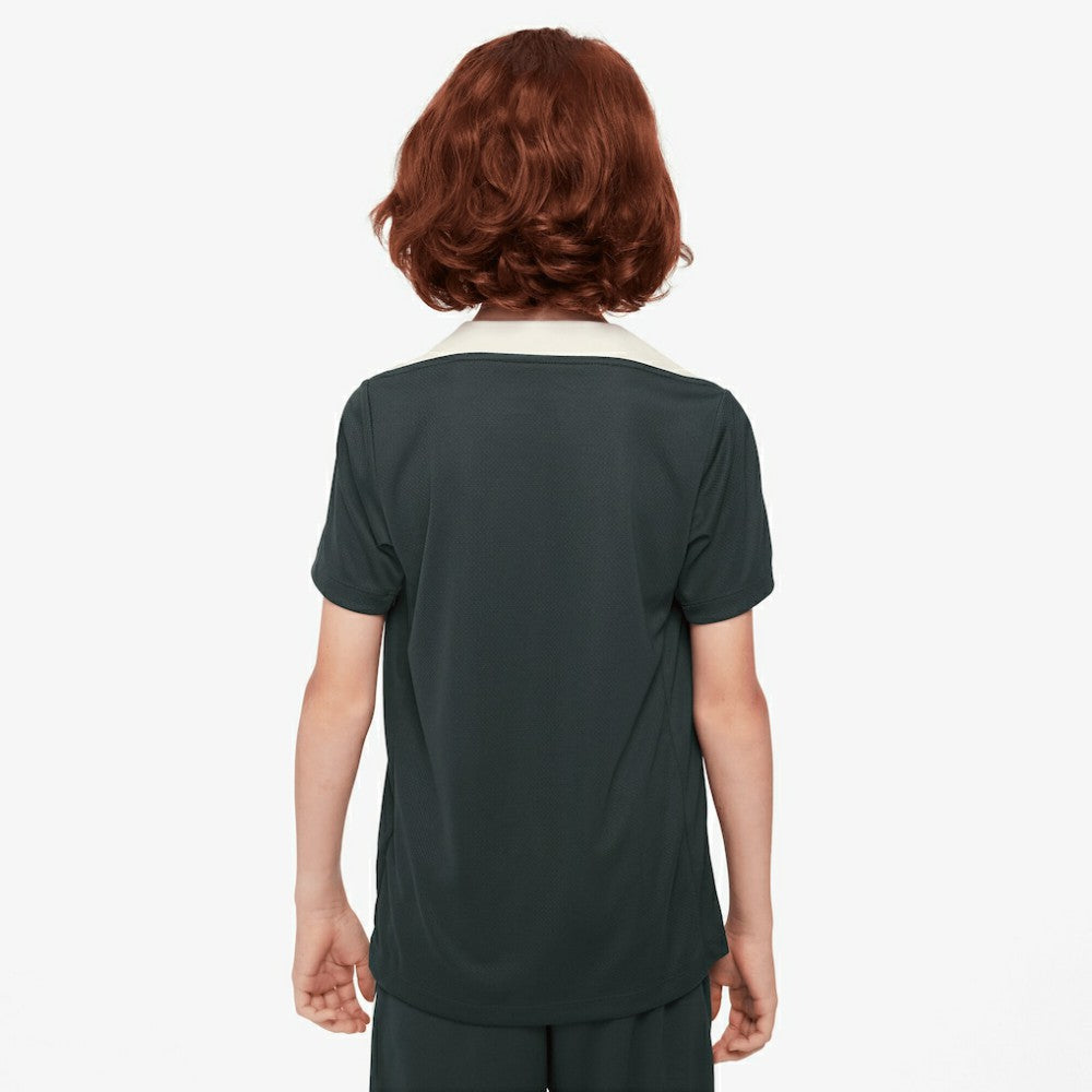 Nike Chelsea Youth 2025/26 Strike Raglan Top - Green